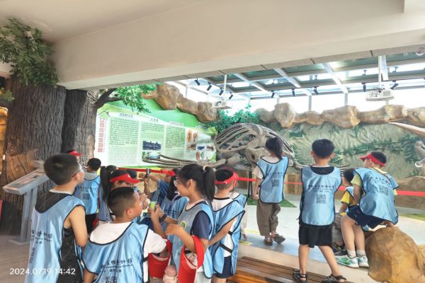 IMG20240719144236.jpg