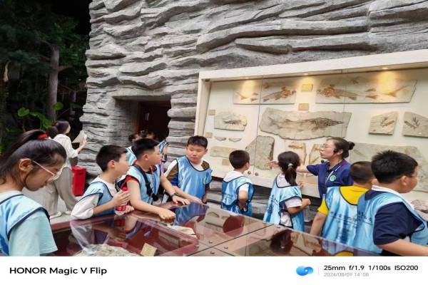 WPS图片-修改尺寸2.jpg