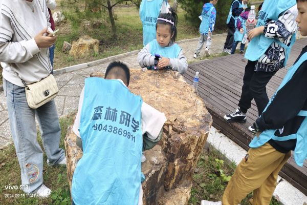 微信图片_20240915202422.jpg