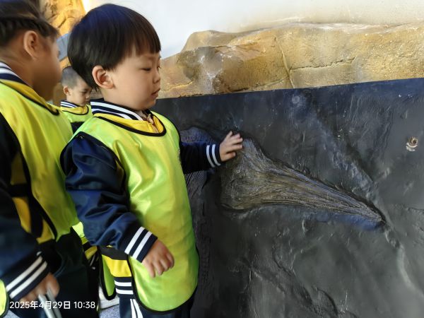 微信图片_20250429160616.jpg