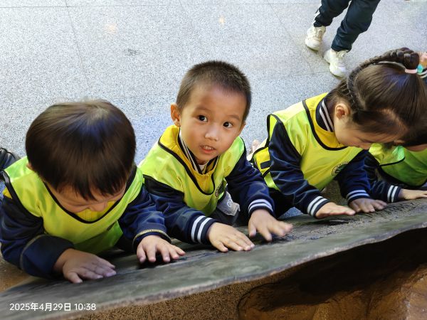 微信图片_20250429160624.jpg