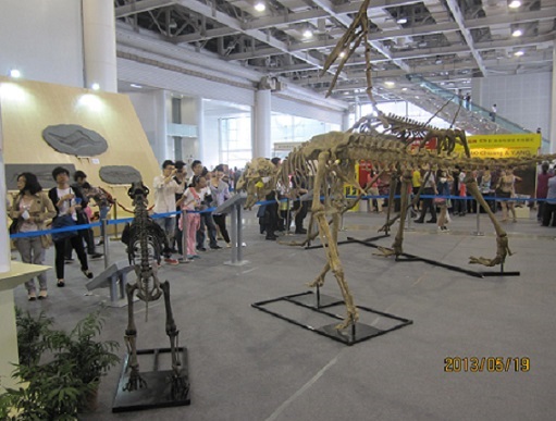 2013年首届湖南（长沙）国际矿博会.JPG