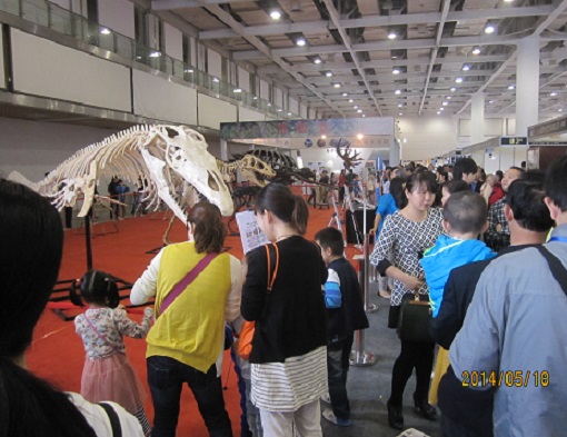 2014年第二届中国（长沙）国际矿物宝石博览会.JPG