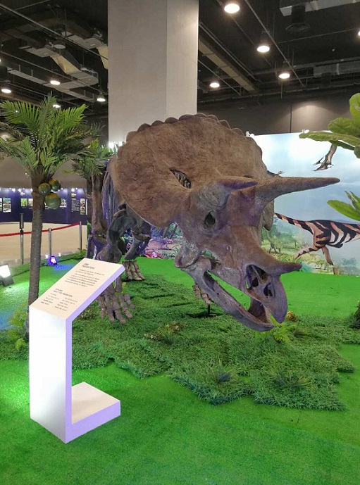2016年中国科技馆“生命进化展”.JPG